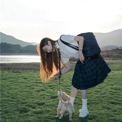 神探忠犬